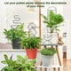 thumbnail image 4 of Matsuzay Enrejado de Metal negro de 2 piezas para plantas de interior, alambre de Metal moderno y moderno para decoración de plantas Jardín y Patio Estilo estrella luna 40*10cm, 4 of 6