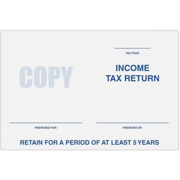 LUXPaper Enveloppes Livret 6 x 9 / Déclaration d'Impôt sur le Revenu / Blanc Éclatant / Texte de 24 Lb / Quantité de 500