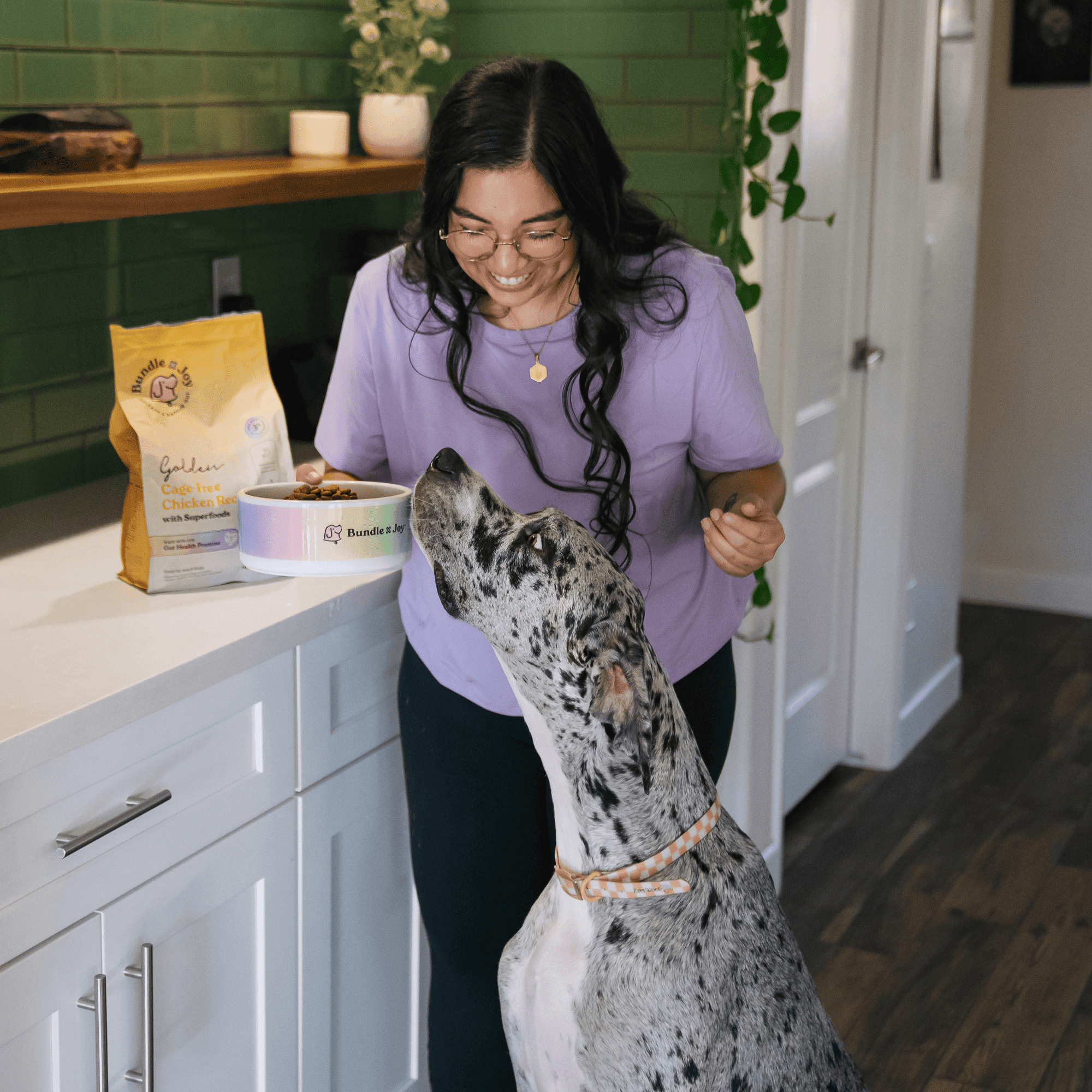 (4 pack) Bundle x Joy Golden Gut-Friendly Cage-Free Chicken Flavor Dry Dog Food, 4 lb Bag