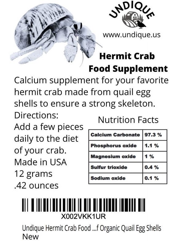 Hermit Crab Food in Hermit Crabs
