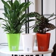 thumbnail image 4 of de Riego Automático de 19 Cm para Interiores Y Exteriores, Jardín de Casa, Decorativa Moderna para Pntas de Hierbas, Flores, Verde Macarena macetas de riego automático, 4 of 5
