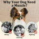 thumbnail image 5 of Bozal Mayerzon con hocico corto para perros de razas pequeñas, 5 of 7