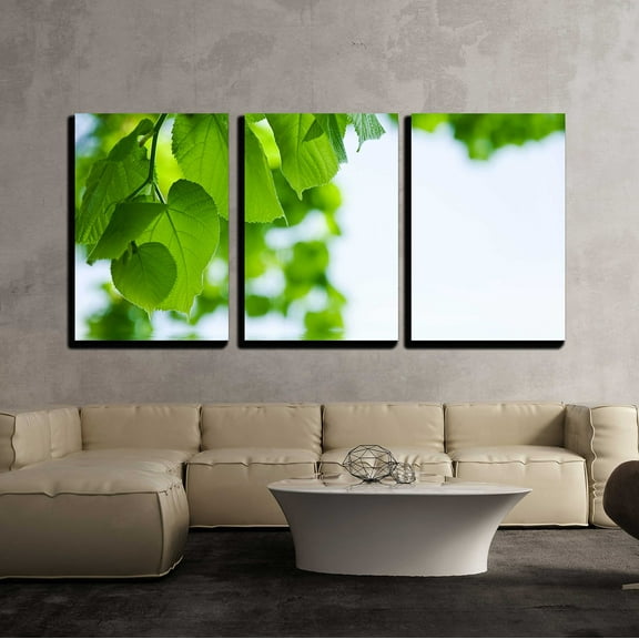 wall26 - 3 Piece Canvas Wall Art - Nature Background - Lime and Water Relflexion - Modern Home Art Stretched and Framed Ready to Hang - 16"x24"x3 Panels