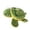 Green 1PCS, variant on The Turtle Toy That Children With Soft And Materials Stimulates Their Imagination And Creativity Making It An Ideal Companion For Babies!, 9 cm, Green 1PCS