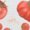 White, variant on Tomato Medley Graphic Tees Womans T-shirt Black/White S-5XL Shirts Garden Vegetable Tops