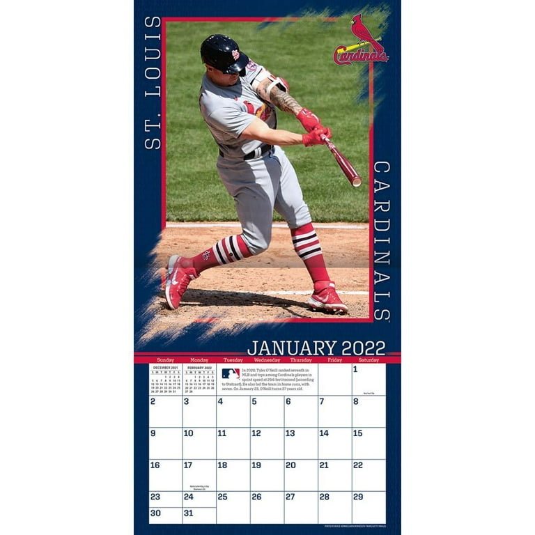 St Louis Cardinals 2022 12x12 Team Wall Calendar (Other) 