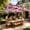 C, variant on Tropical Floral Sun Shade Sail, 185x185cm UV Block Waterproof Canopy for Patio, Garden & Camping