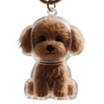 thumbnail image 1 of Porte-clés Collectionneur de Poils de Chien, Porte-Clés Commémoratif Mignon Transparent pour Poils de Chien, Support pour Poils de Chien, Capsules de Rangement pour Poils de Chien, Cadeaux Commémoratifs Créatifs pour les Amoureux des Animaux, 1 of 8