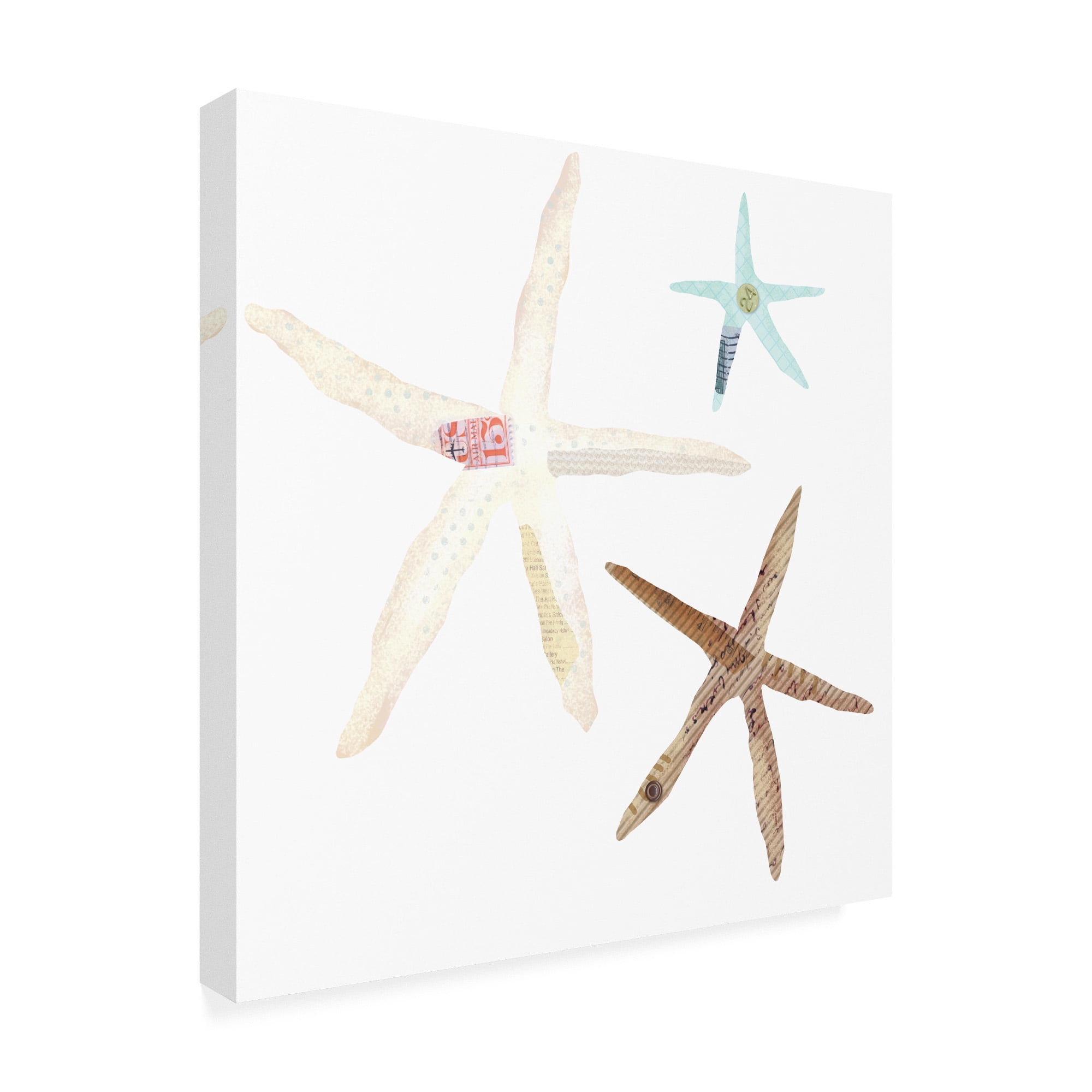 Trademark Fine Art 'Coastal Collage icons 3' Canvas Art by Holli Conger