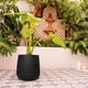 thumbnail image 1 of MACETA CAMELIA 40, 1 of 3