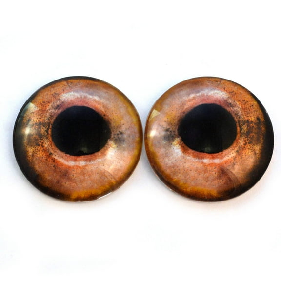 Wild Fish Glass Eyes
