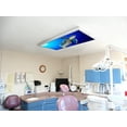 thumbnail image 6 of Octo Lights Fluorescent Light Covers for Classroom Office - Eliminate Harsh Glare Causing Eyestrain and Headaches. Office & Classroom Decorations - Ocean 008, 6 of 7