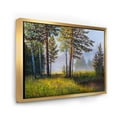 thumbnail image 3 of Designart 'Subtle Sunset Light Through The Trees III' Lake House Framed Canvas Wall Art Print, 3 of 5