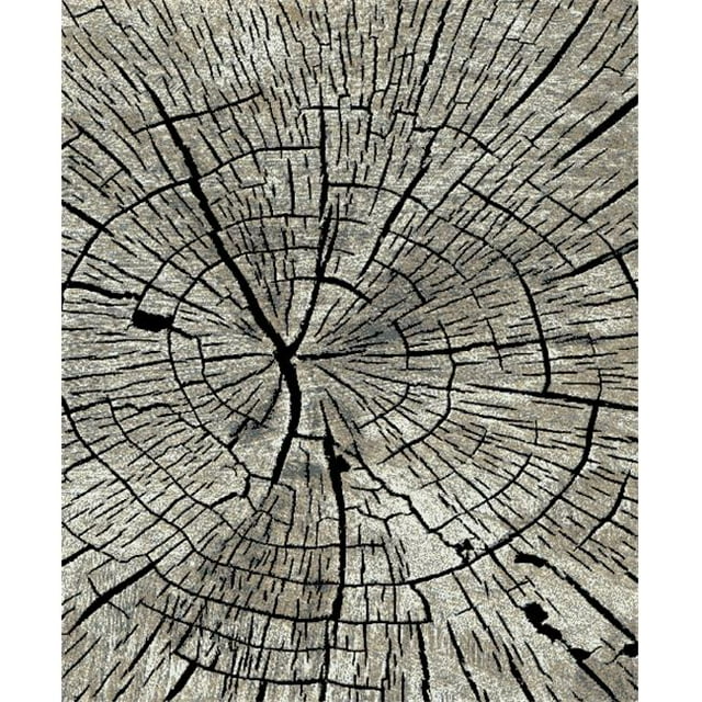 Mayberry Rug DN8552 5X8 Tapis de Zone 5 Pi. 3 Po. x 7 Pi. 3 Po. Denver Timber, Gris