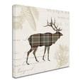 thumbnail image 2 of Trademark Fine Art 'Plaid Lodge III Tan' Canvas Art by Wild Apple Portfolio, 2 of 3