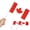 Canada, variant on 2026 World Cup 12-Pack Handheld Country Flags, Mini Fan Flags for US Canada Mexico World Cup Parties, Classroom & International Events Decor