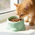 thumbnail image 1 of Large Cat Bowl Elevated 7-Inch Feeding Dish with 250ml Capacity & Anti-Tip Base, 1 of 1