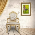 thumbnail image 3 of Day, Richard and Susan 23x32 Gold Ornate Wood Framed with Double Matting Museum Art Print Titled - Spicebush Swallowtail-Papilio troilus-on Blazing Star-Liatris spicata-Marion County-Illinois, 3 of 4
