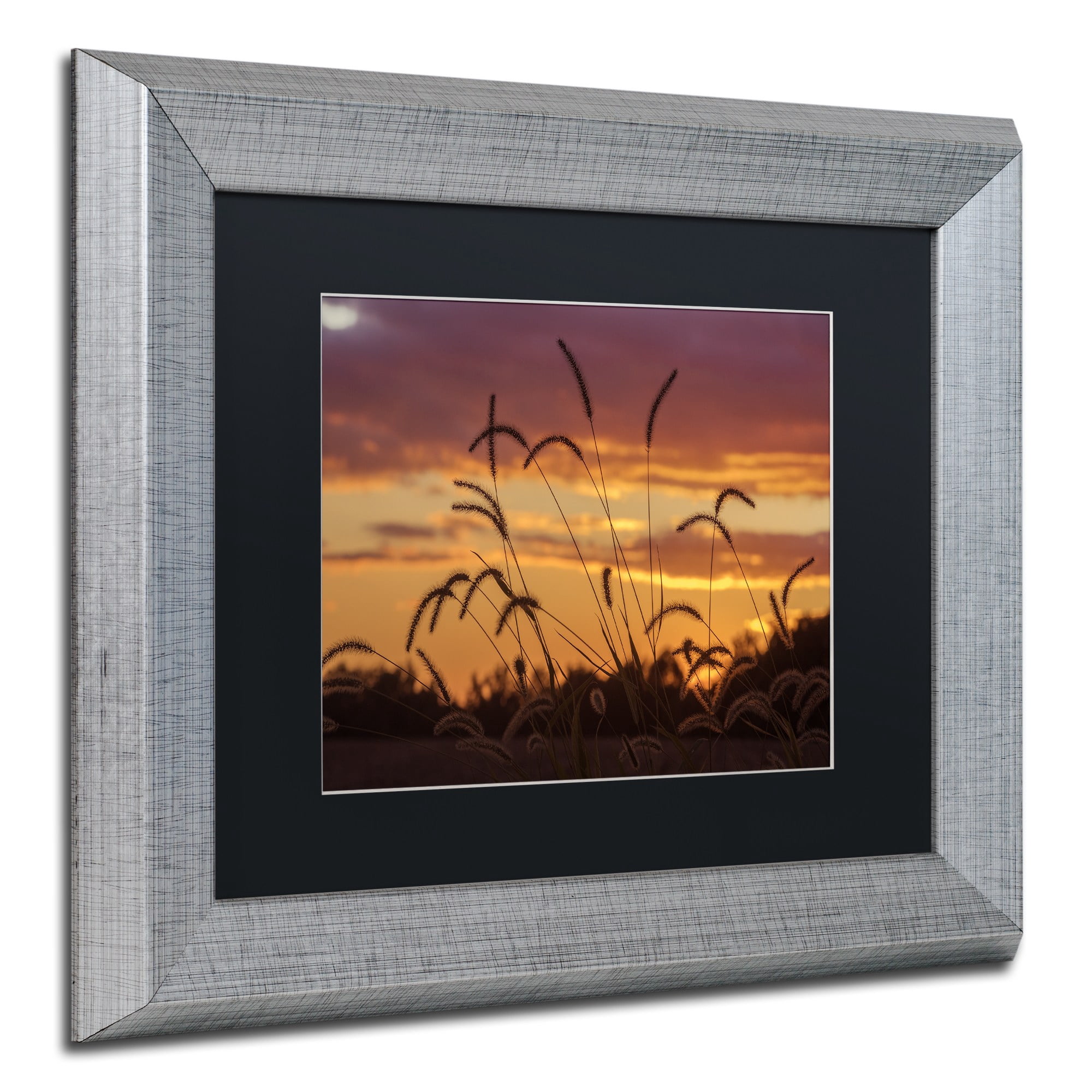 Trademark Fine Art "Weeds" Canvas Art by Jason Shaffer, Black Matte, Silver Frame