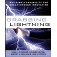 thumbnail image 1 of Grabbing Lightning : Renforcer la Capacité pour une Innovation de Pointe, 1 of 1