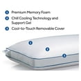 Sealy Chill Cooling Memory Foam Bed Pillow with Support Gel, Standard