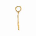 thumbnail image 4 of Pendentif Pied en Or Jaune 14K avec Chaîne, 4 of 4