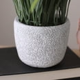 thumbnail image 3 of 10" Green and Yellow Potted Artificial Grass and Eggs Easter Decoration, 3 of 4
