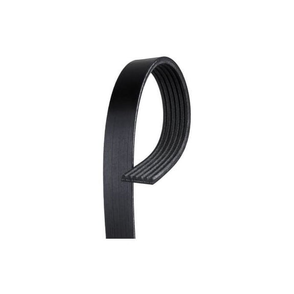 V-Ribbed Serpen (SLP-P1)