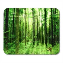Environment Forest Trees Nature Green Wood Sunlight Scenery Trunk Mousepad Mouse Pad Mouse Mat 9x10 inch