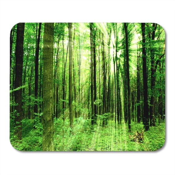 Environment Forest Trees Nature Green Wood Sunlight Scenery Trunk Mousepad Mouse Pad Mouse Mat 9x10 inch