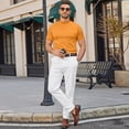 thumbnail image 5 of BRANROY Men's Short Sleeve T-Shirt Mock Neck - Lightweight Stretch Breathable Casual Summer Shirts for Men Slim Fit Base Layer Tee Top,Earthy Yellow L, 5 of 7