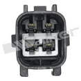 thumbnail image 3 of Walker Oxygen Sensor 350-34630 OE Replacement; Heated; Single Sensor; 4 Wire Connector; 600 Millimeter Overall Length, 3 of 4