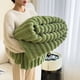 thumbnail image 1 of Flannel Fleece Blanket Striped Blanket for Adults and Kids, Super Soft Warm Cozy Lightweight Home Decor for All-Season 100*150cm, 1 of 5