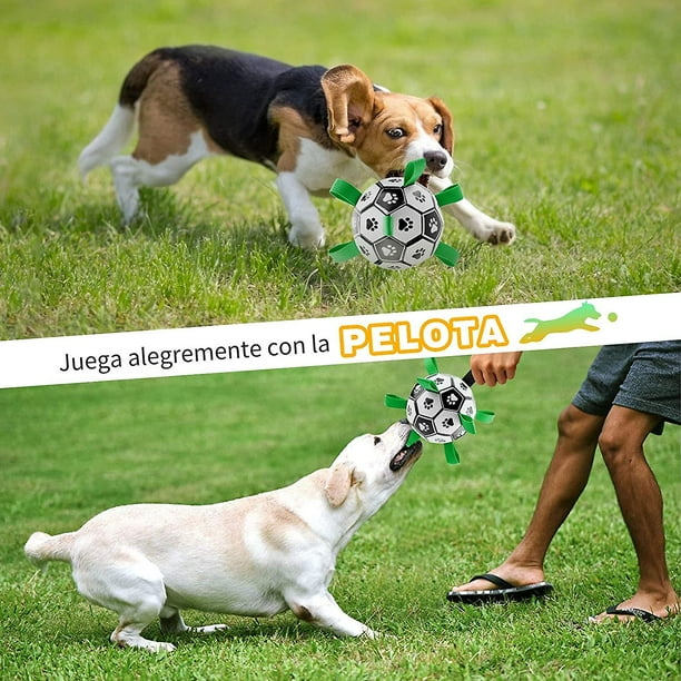 Dog toy ball with handle discount