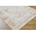 thumbnail image 2 of BoutiqueRugs Laran Traditional Area Rug - Machine Washable - Light Silver, Light Gray, Ash - 2' x 2'11", 2 of 11