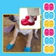 thumbnail image 3 of Zapatos Para Perros, Sandalias Transpirables Para Perros Con Suela Antideslizante Para Perros Monstrate PT002371-04, 3 of 6