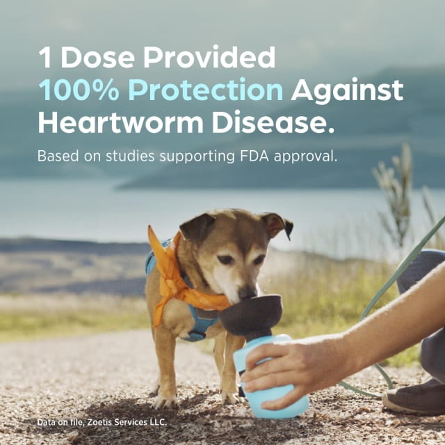 Simparica Trio (sarolaner, moxidectin, and pyrantel chewable