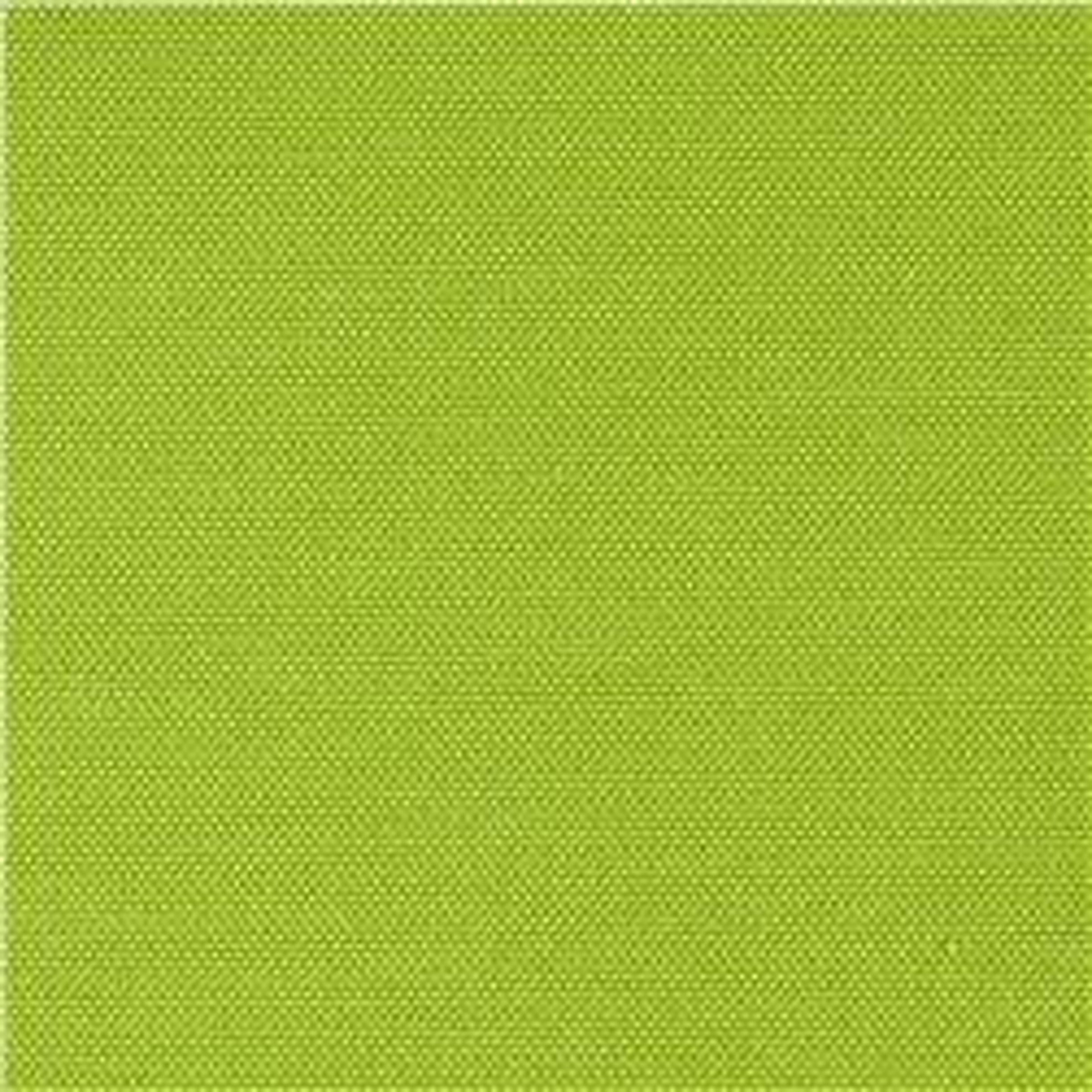 Sorra Home Apple Green Indoor/Outdoor Cushion, Bristol