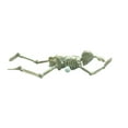 thumbnail image 3 of Halloween Crawling Skeleton Clockwork Wind Up Horror Toy Creepy Skeleton Model Decoration Halloween Decor Clearance, 3 of 6