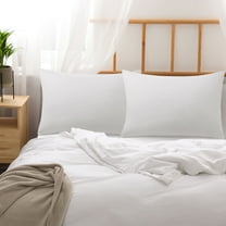 PiccoCasa 2Pcs Washed Microfiber Pillowcases Soft Envelope Light Gray Queen(20"x30")