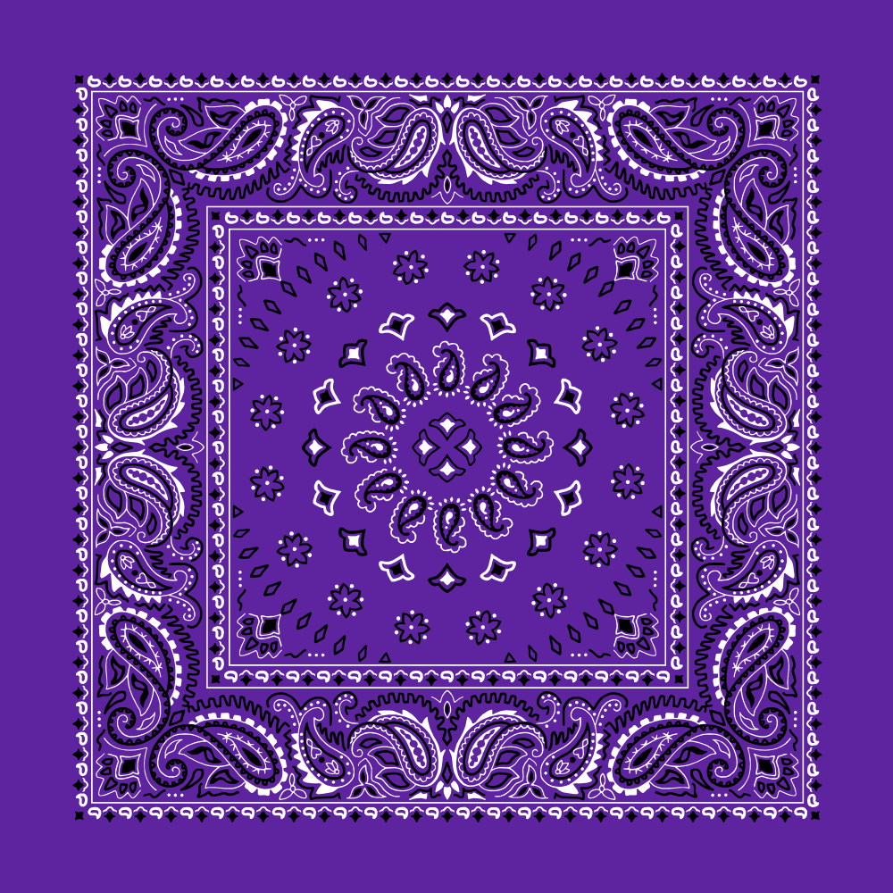 Navy Blue Paisley Bandanas Dozen Packed 22x22