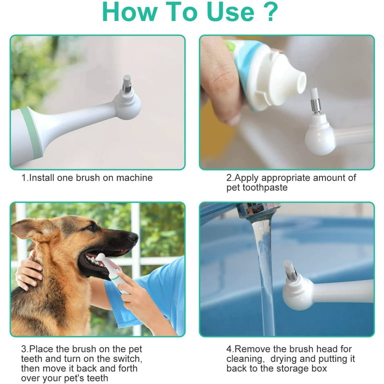 Dog Tartar Cleaner Electric Life Basis Professional Teeth
