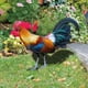 thumbnail image 2 of Letrero de Gallo para Jardín, Acrílico, para Exteriores, Jardín, Decoración de Jardín, Tarjeta de Inserción, Animales de Jardín A, 2 of 10
