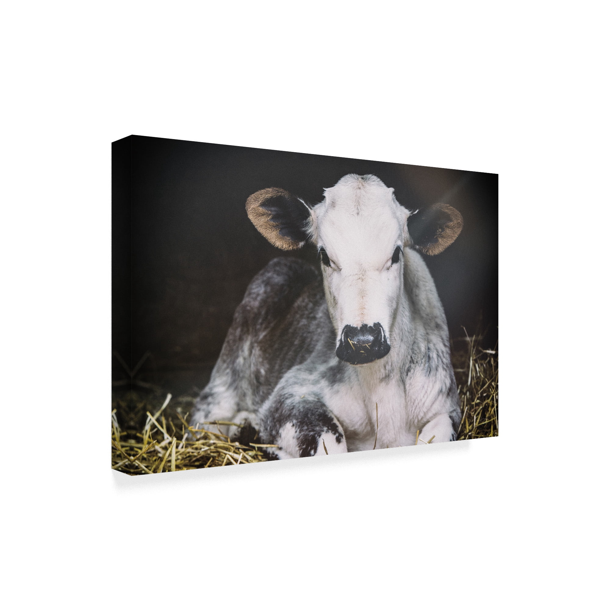 Trademark Fine Art 'Busy Day Crop' Canvas Art by Aledanda