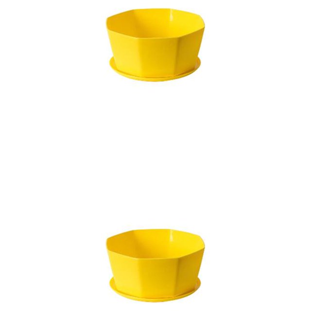 Cateissary Maceta sencilla para flores, maceta para plantas suculentas, bandeja inferior, maceta para jardín Type3 NO3