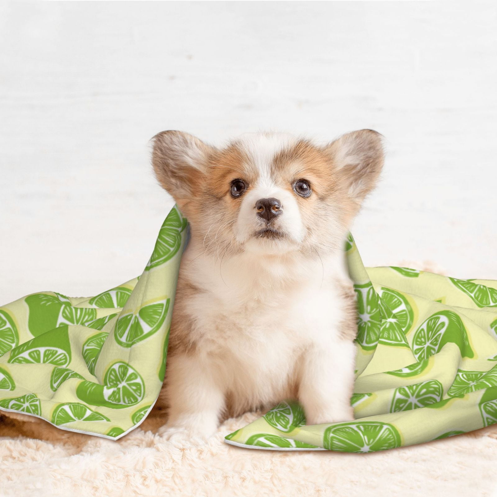 Naloa Various Lemons Dog Blanket, 3 Sizes Cat Blanket for Indoor Cats Large Medium Small Dog Gifts-Medium
