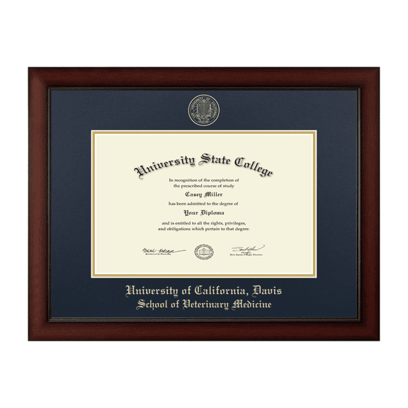 Framerly - UC Davis Medicine Diploma Frame with Navy and Gold Mat