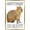 Gold Framed Version, variant on Capybara - Be Cappy Wall Poster, 22.375" x 34" Framed