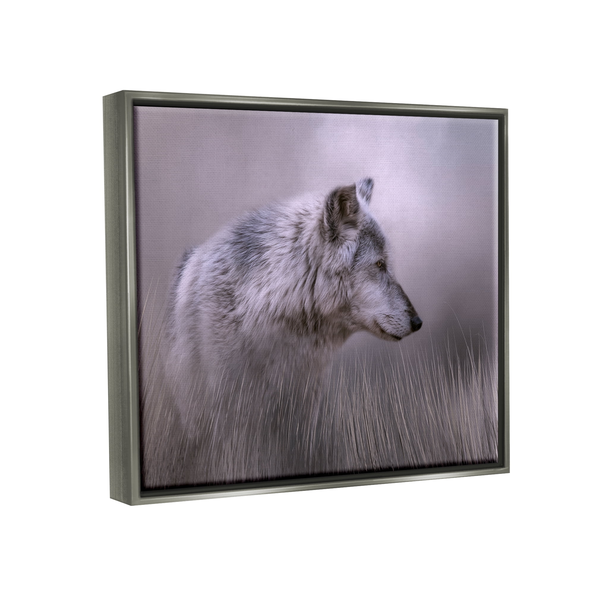 Stupell Grey Wolf Wildlife Photography Animals & Insects Photography Gray Floater Framed Art Print Wall Art