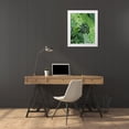 thumbnail image 3 of Popp, Grace 26x32 White Modern Wood Framed Museum Art Print Titled - Upright Greenery II, 3 of 4